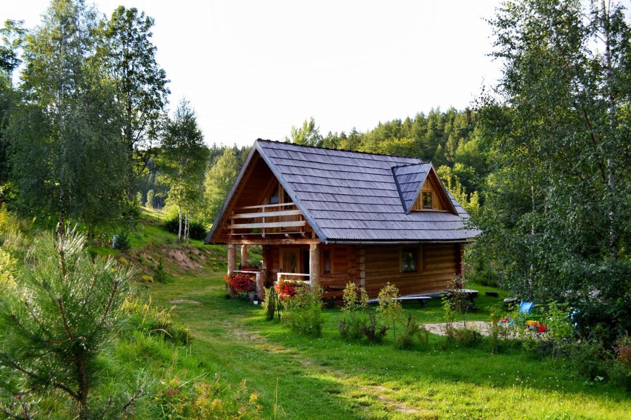 Lesniowka Domki W Karpaczu 外观 照片