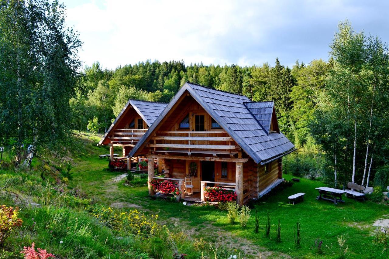 Lesniowka Domki W Karpaczu 外观 照片